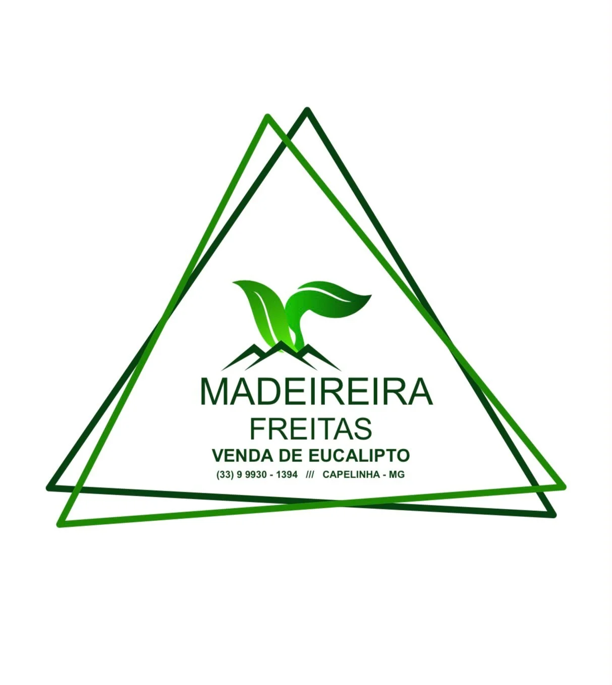 Sobre a Madeira Freitas