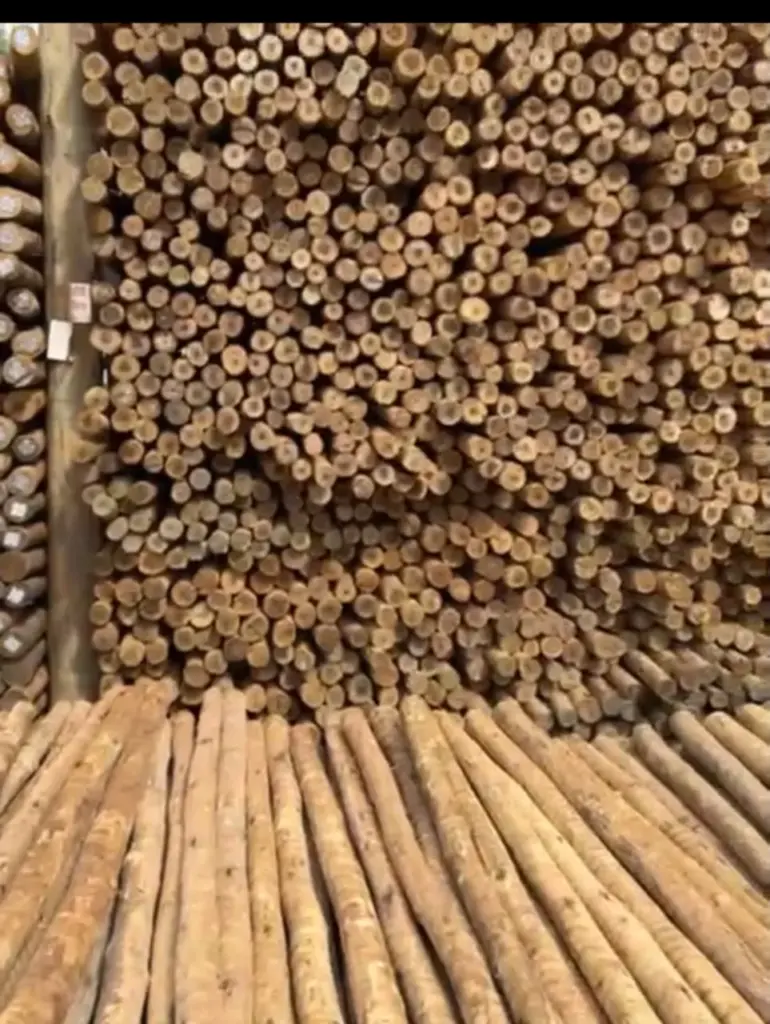 Madeira para Plantação