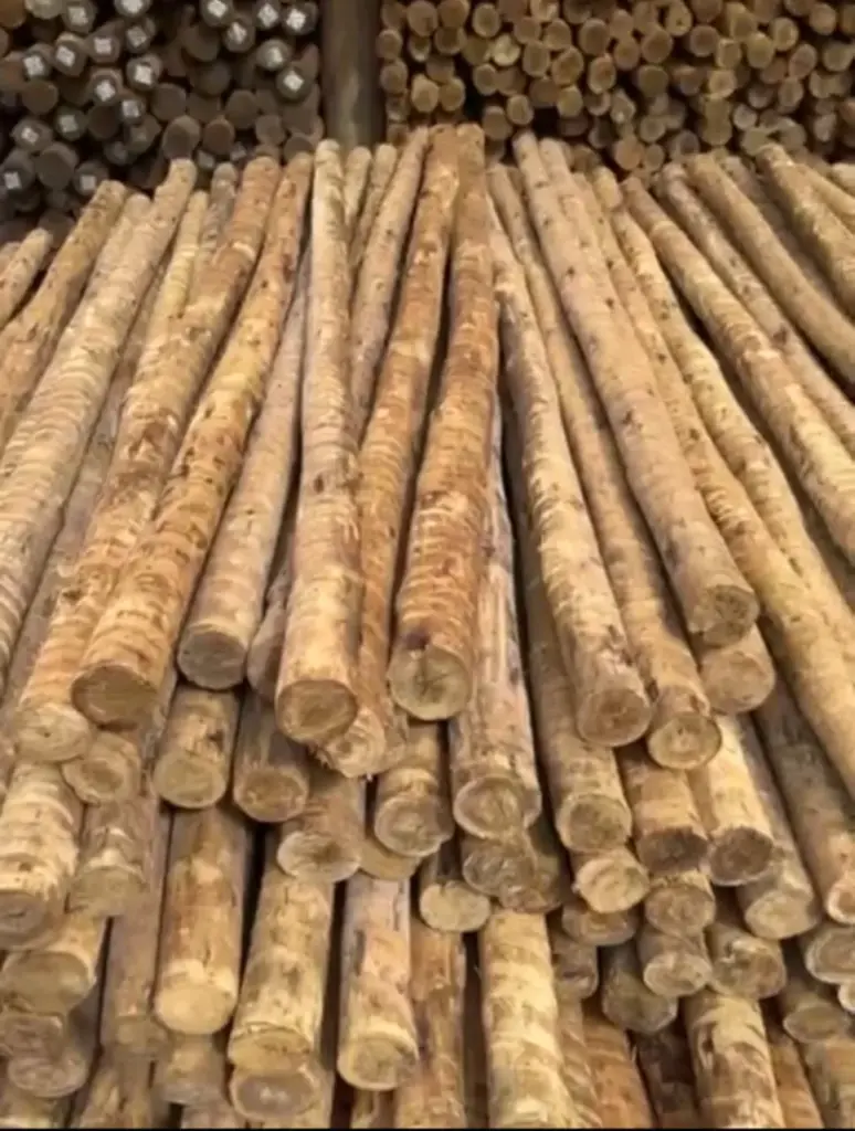 Madeira para Plantação