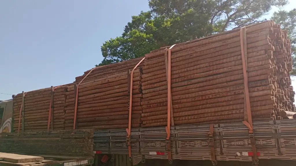 Madeira para Plantação
